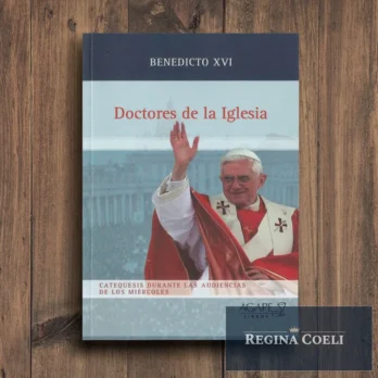 DOCTORES DE LA IGLESIA – Catequesis Benedicto XVI
