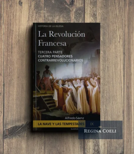 LA NAVE Y LAS TEMPESTADES Tomo IX: La revolución francesa (3a parte)