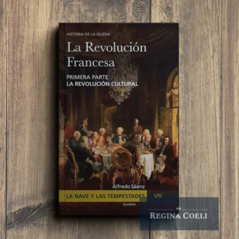 LA NAVE Y LAS TEMPESTADES Tomo VII: La revolución francesa (1a parte)