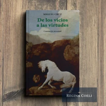 DE LOS VICIOS A LAS VIRTUDES. Camino de juventud