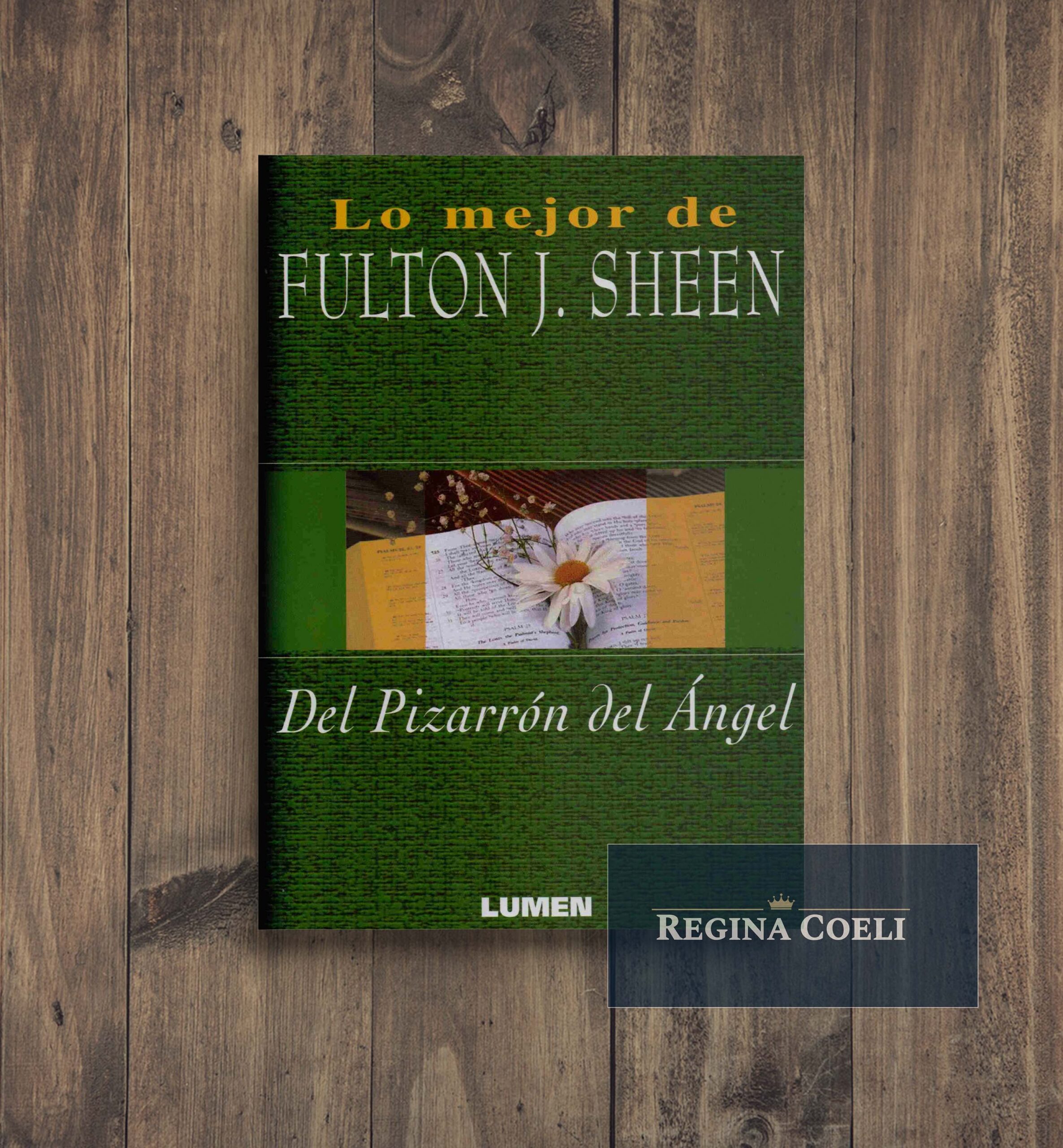 DEL PIZARRON DEL ANGEL Lo mejor de Fulton J Sheen