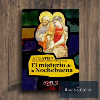 EL MISTERIO DE LA NOCHEBUENA