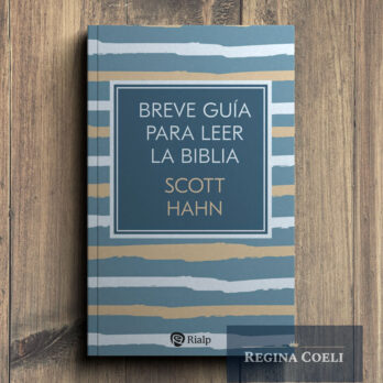 BREVE GUÍA PARA LEER LA BIBLIA