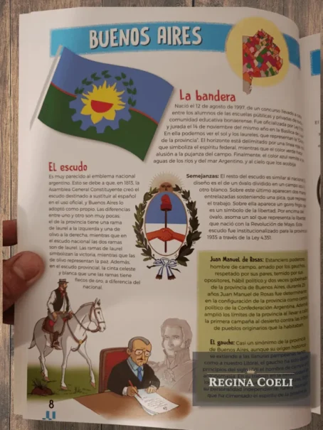 BANDERAS Y ESCUDOS DE LA ARGENTINA CON STICKERS - Imagen 4