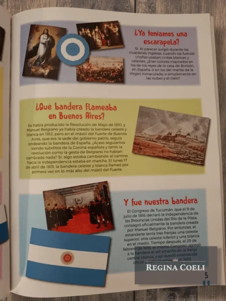 BANDERAS Y ESCUDOS DE LA ARGENTINA CON STICKERS - Imagen 5