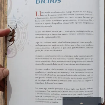BICHOS. INTRODUCCION A LA MUSICA DE CONCIERTO