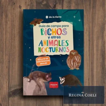 BICHOS Y OTROS ANIMALES NOCTURNOS