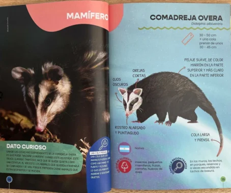BICHOS Y OTROS ANIMALES NOCTURNOS - Imagen 3