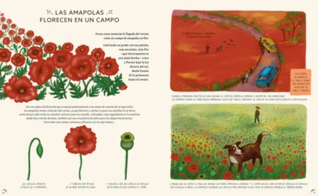 CON CALMA. 50 historias de la naturaleza - Imagen 2