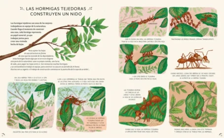 CON CALMA. 50 historias de la naturaleza - Imagen 3