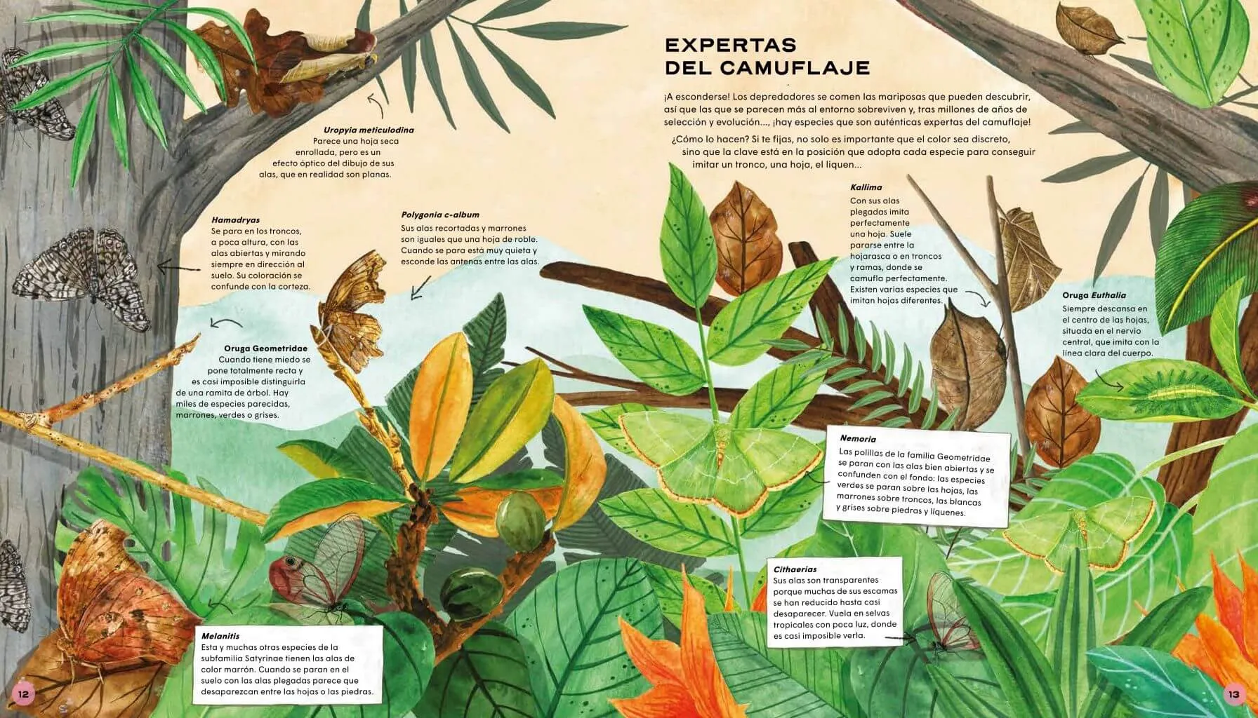 MARIPOSAS. Vida secreta - Imagen 3