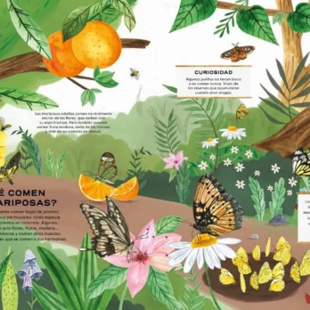 MARIPOSAS. Vida secreta