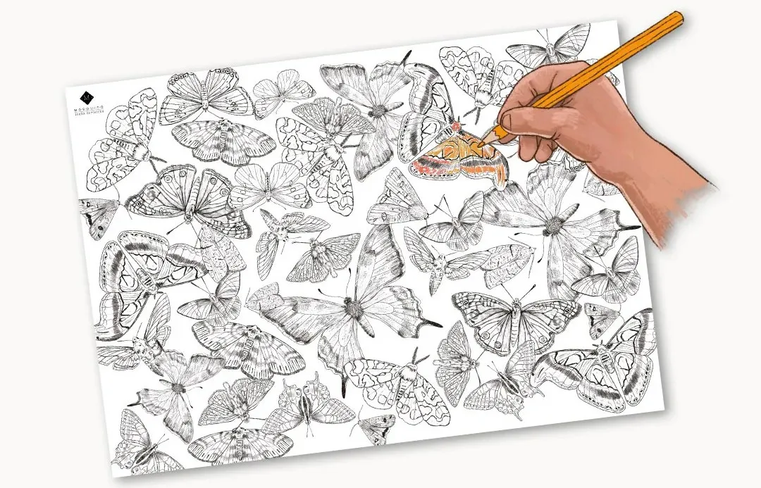 MARIPOSAS. Vida secreta - Imagen 4