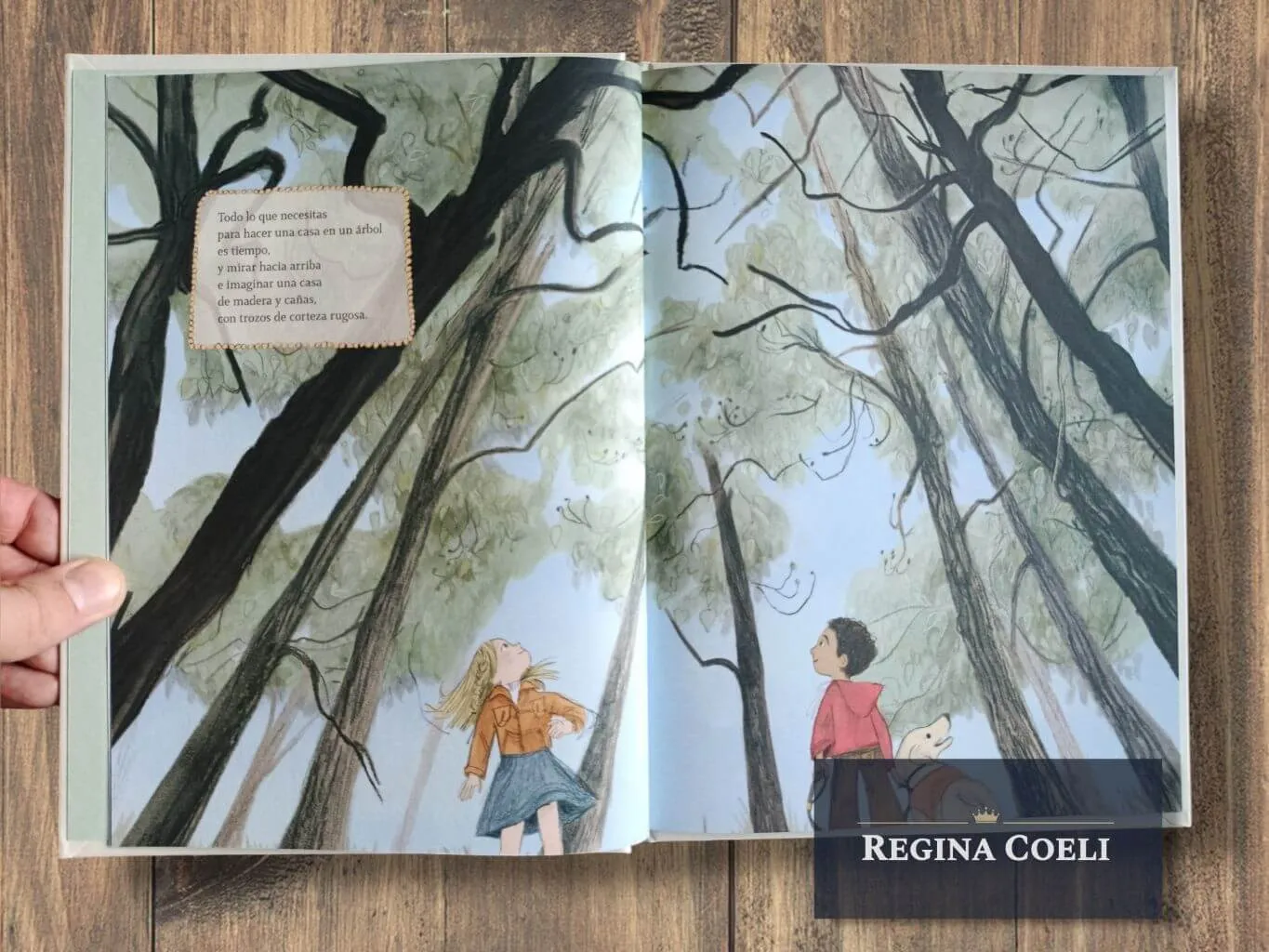 CÓMO HACER UNA CASA EN UN ÁRBOL (TD) - Imagen 2