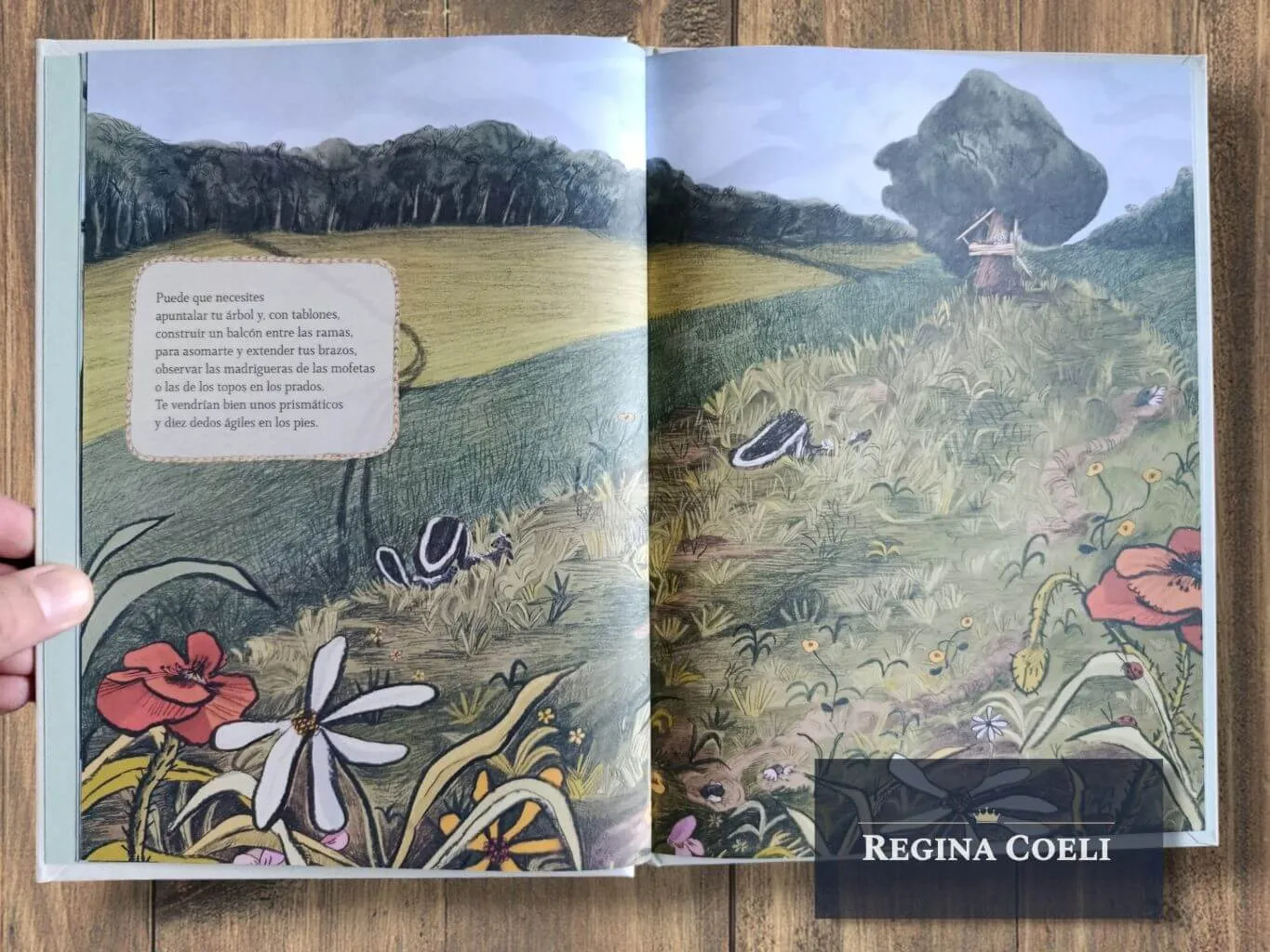 CÓMO HACER UNA CASA EN UN ÁRBOL (TD) - Imagen 3