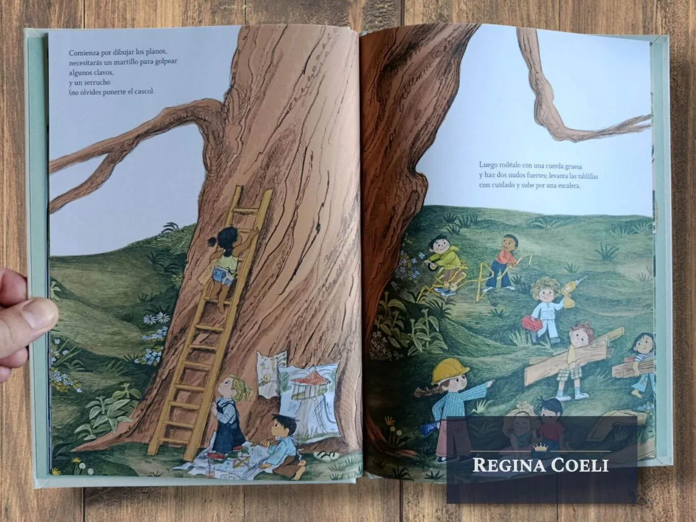 CÓMO HACER UNA CASA EN UN ÁRBOL (TD) - Imagen 5