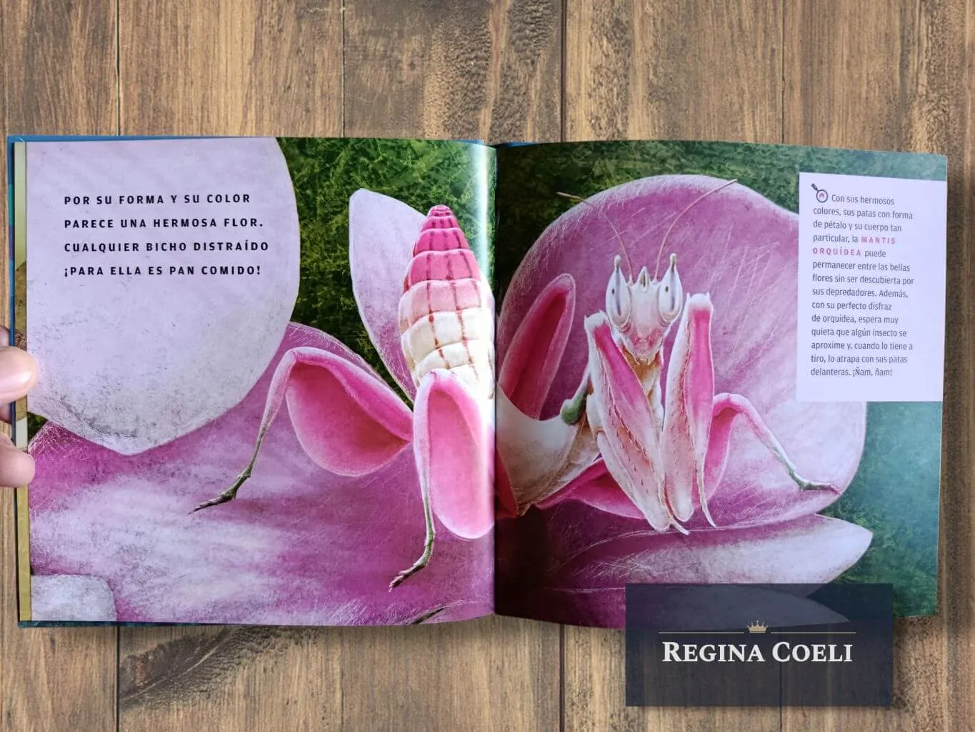 ¡ENCUÉNTRAME SI PUEDES! - Imagen 3