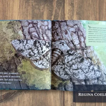 ¡ENCUÉNTRAME SI PUEDES!