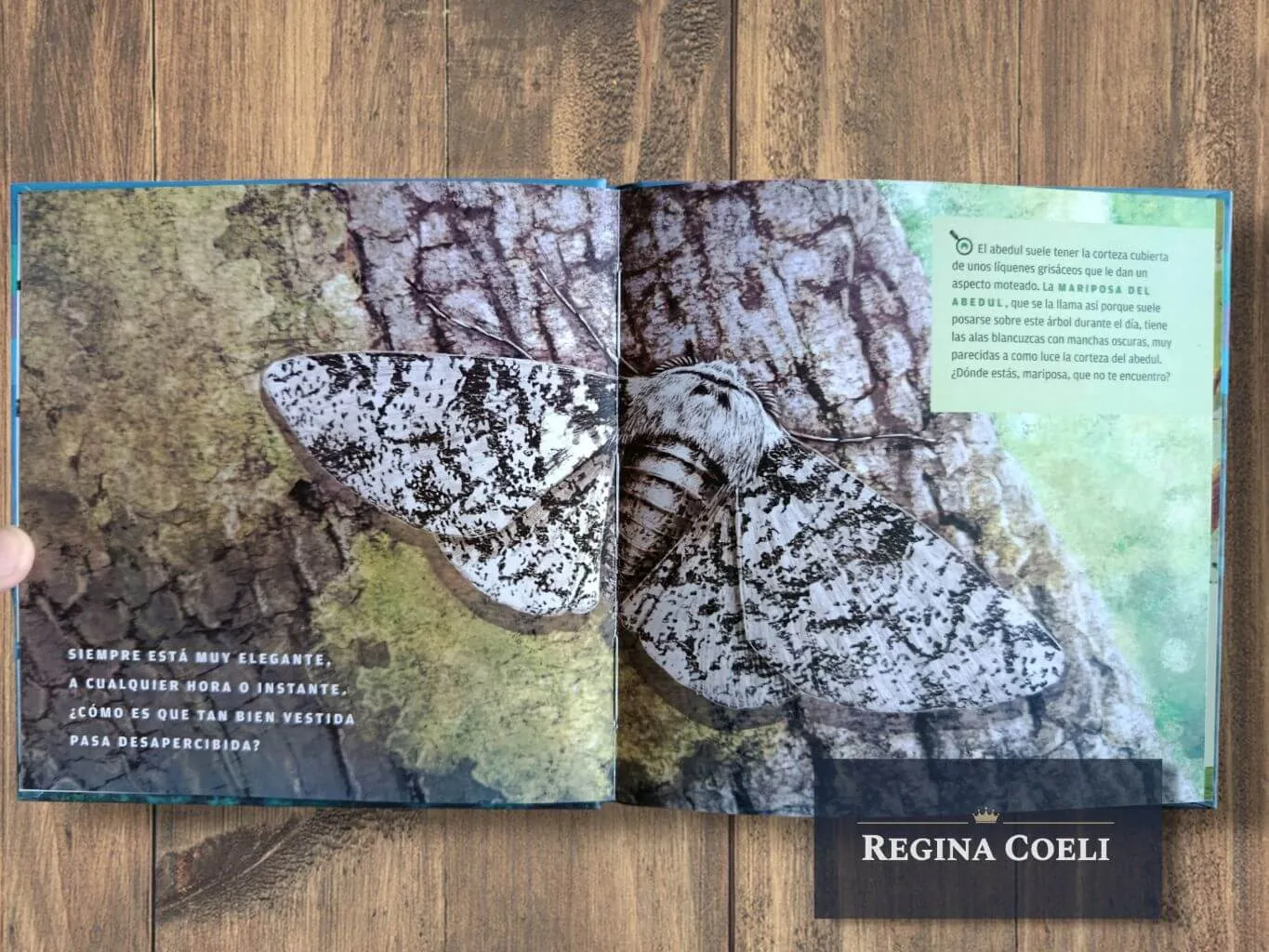 ¡ENCUÉNTRAME SI PUEDES! - Imagen 2