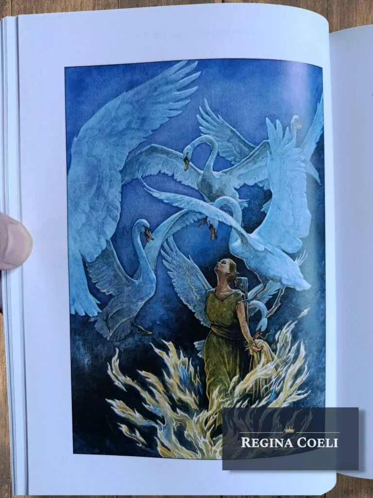 LA BELLA Y LA BESTIA y otros cuentos maravillosos - Imagen 6