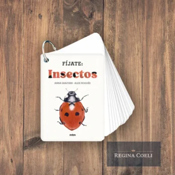 FÍJATE: INSECTOS