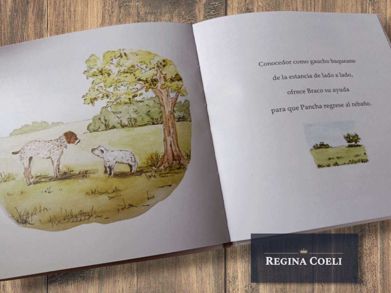 BRACO Y PANCHA - Imagen 4