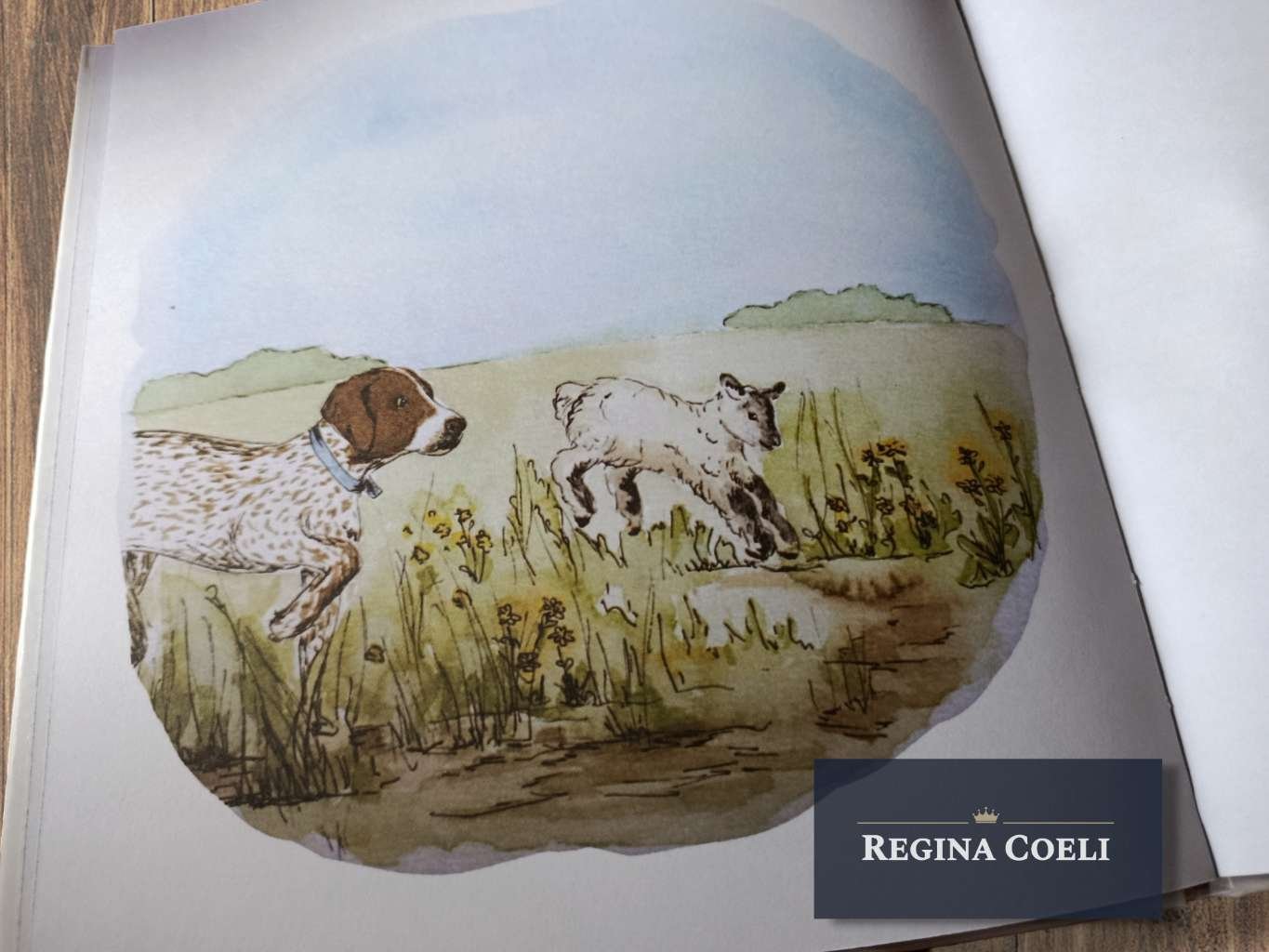 BRACO Y PANCHA - Imagen 3