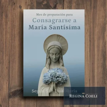 MES DE PREPARACIÓN PARA CONSAGRARSE A MARÍA SANTÍSIMA
