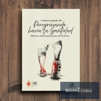 PEREGRINANDO HACIA LA SANTIDAD. Reflexiones y anécdotas ignacianas para cada día del año