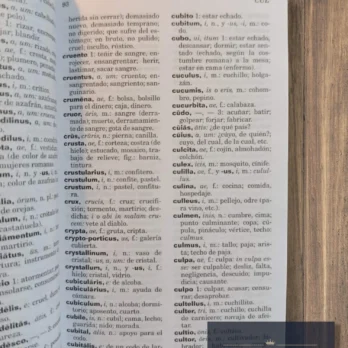 DICCIONARIO ESENCIAL Latino-Español Español-Latino
