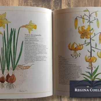 INVENTARIO ILUSTRADO DE FLORES