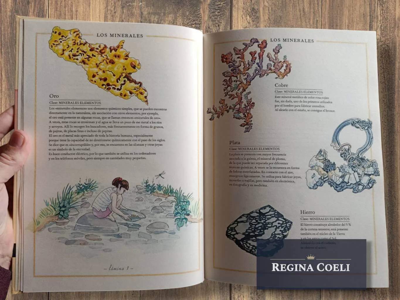 INVENTARIO ILUSTRADO DE ROCAS Y MINERALES - Imagen 4
