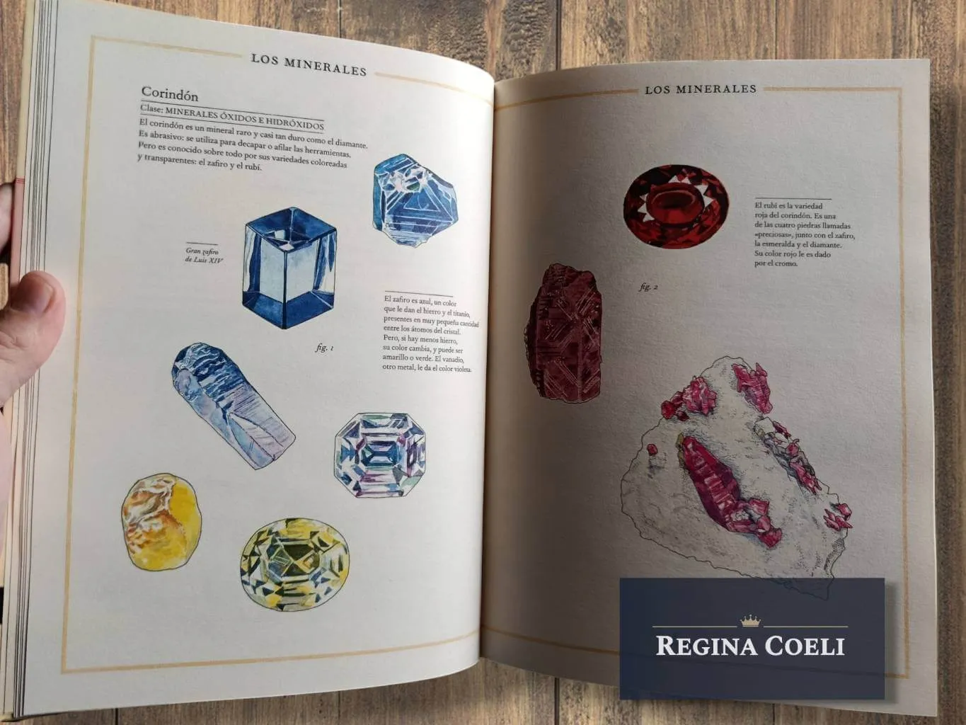 INVENTARIO ILUSTRADO DE ROCAS Y MINERALES - Imagen 3