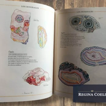 INVENTARIO ILUSTRADO DE ROCAS Y MINERALES