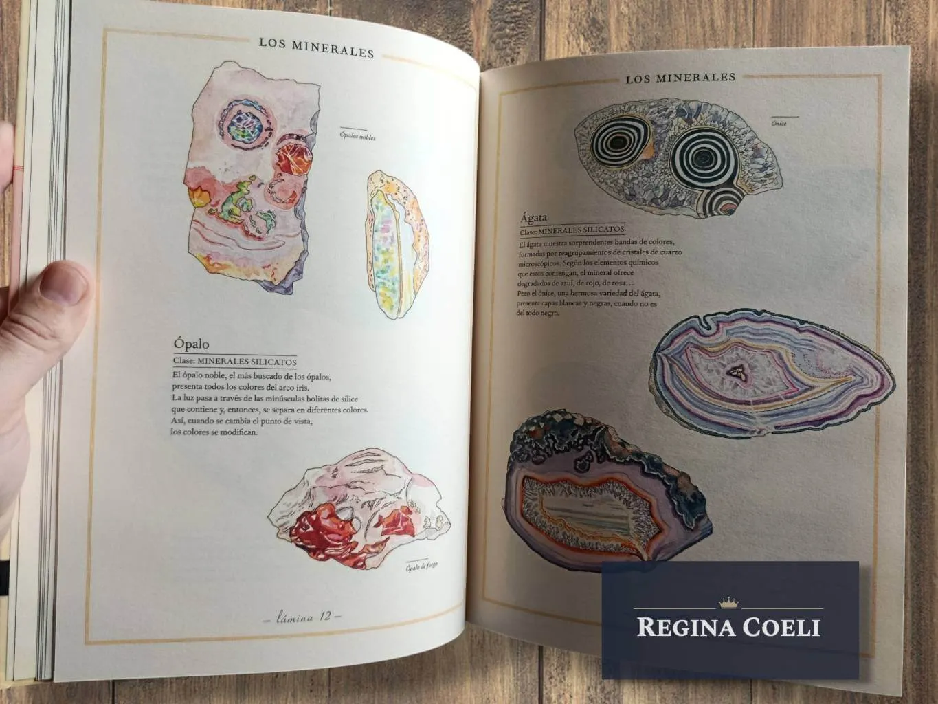 INVENTARIO ILUSTRADO DE ROCAS Y MINERALES - Imagen 2