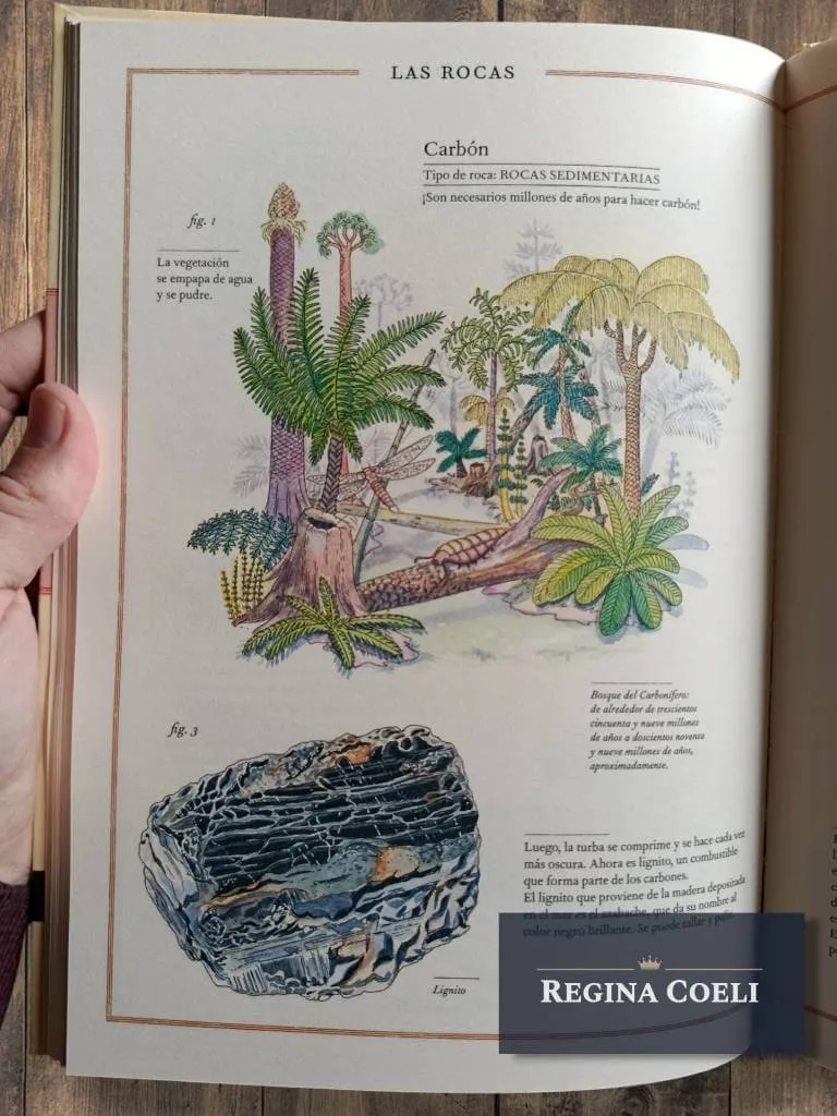 INVENTARIO ILUSTRADO DE ROCAS Y MINERALES - Imagen 5