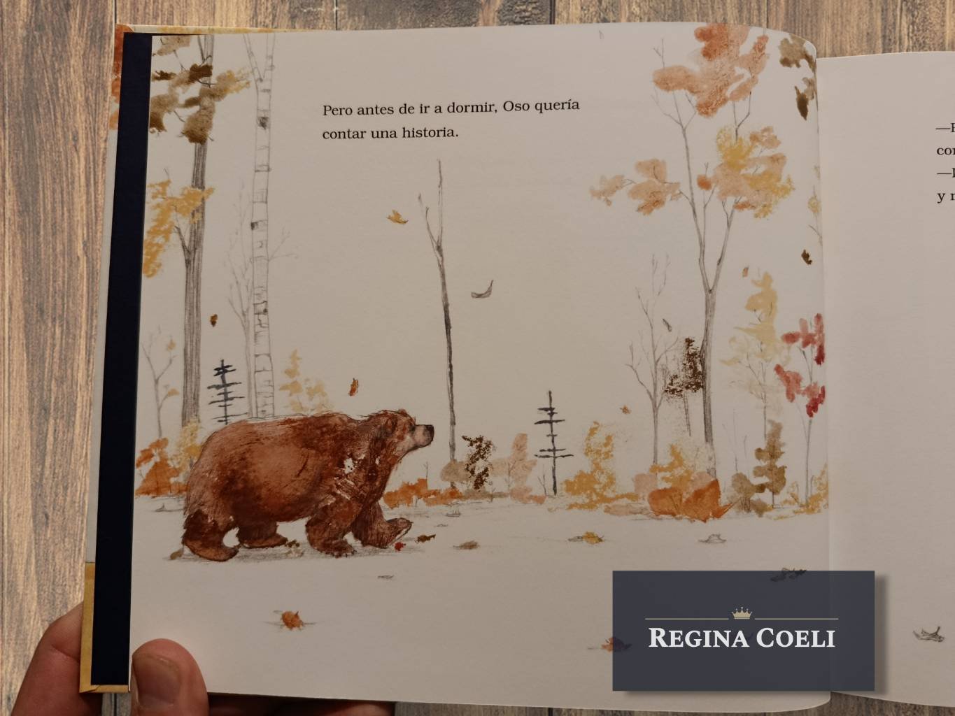 OSO QUIERE CONTAR UNA HISTORIA - Imagen 2