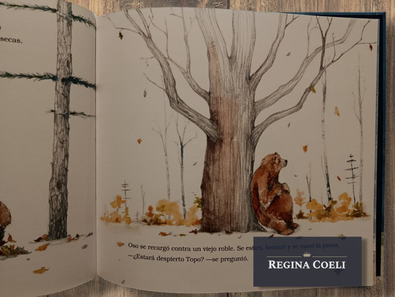 OSO QUIERE CONTAR UNA HISTORIA - Imagen 5
