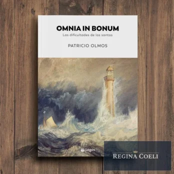 OMNIA IN BONUM. Las dificultades de los santos