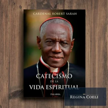 CATECISMO DE LA VIDA ESPIRITUAL