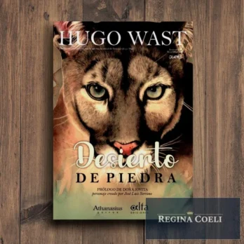 DESIERTO DE PIEDRA
