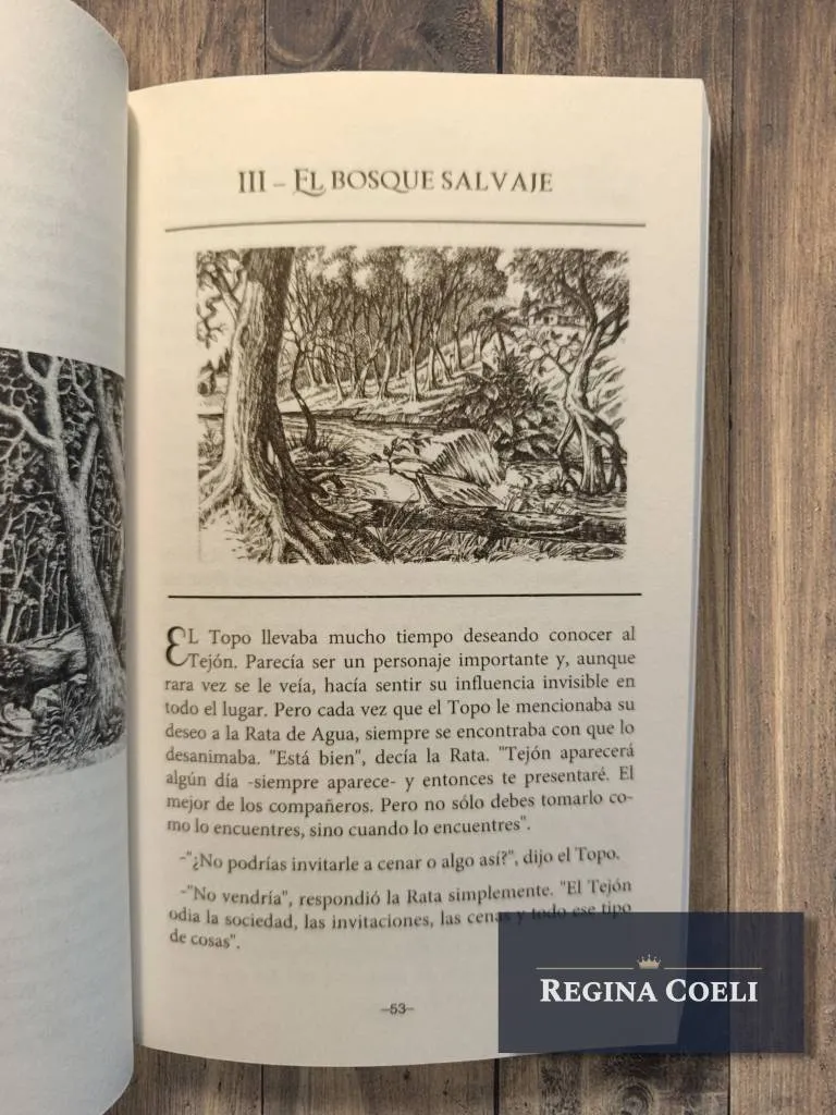 EL VIENTO EN LOS SAUCES - Imagen 3