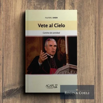VETE AL CIELO. Camino de santidad