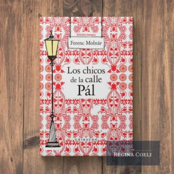 LOS CHICOS DE LA CALLE PAL (Texto integro)
